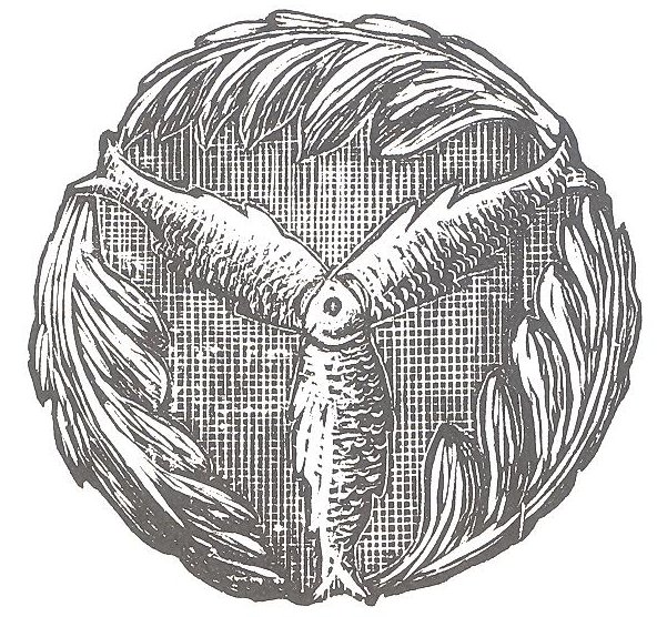 Used in Peixe