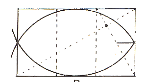 Used in vesica piscis